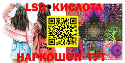 прущие крисы Кулебаки