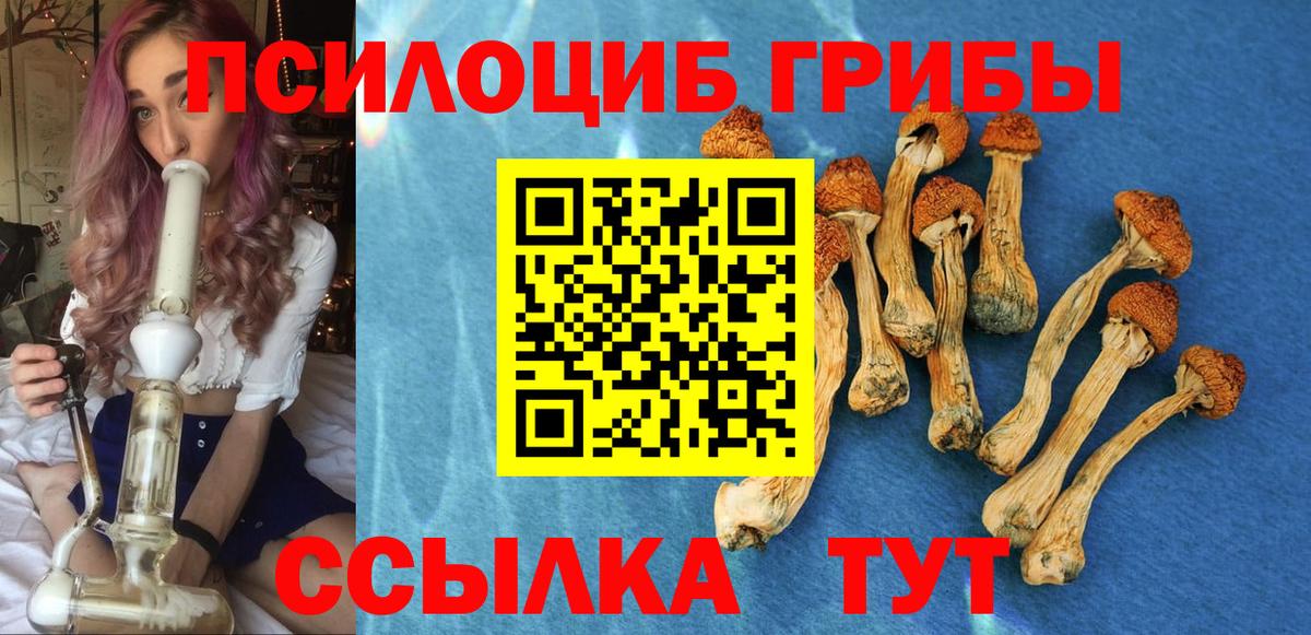 где купить наркоту  Галлюциногенные грибы Magic Shrooms  Вход с VPN  Югорск  Псилоцибиновые грибы прущие грибы 